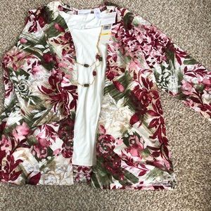 3/4 sleeve twinset by Alfred Dunner